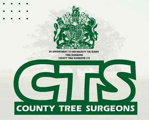 county tree surgeons redesign