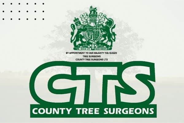 county tree surgeons redesign