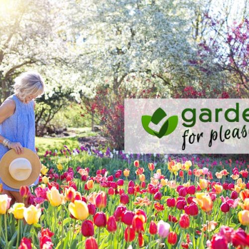 Garden for Pleasure