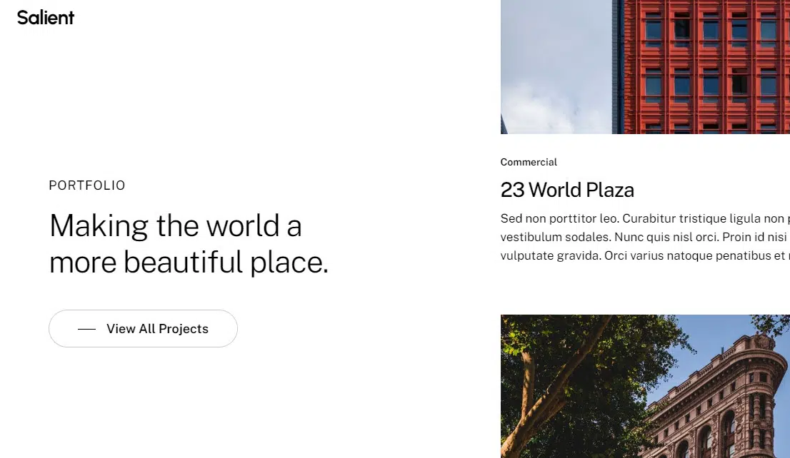 salient-theme-portfolio-styles