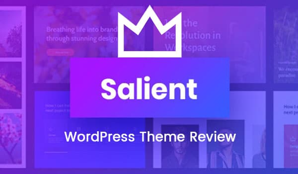 salient WordPress theme review