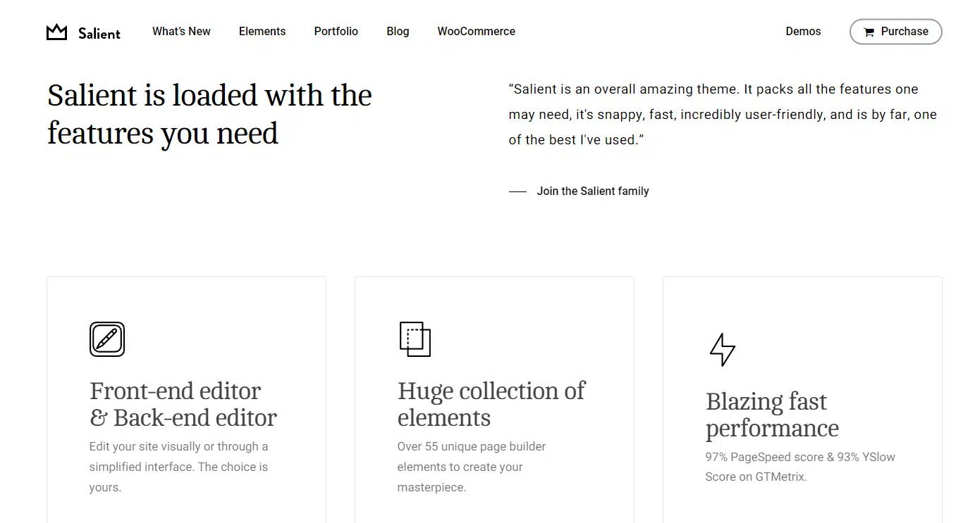 salient wordpress theme features
